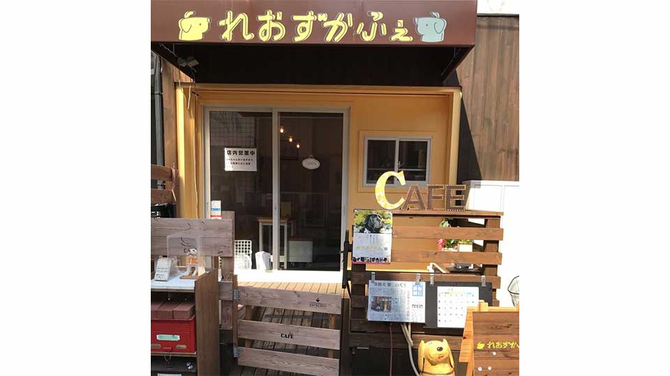 介助犬を引退したオズが看板犬のDOG CAFEです。