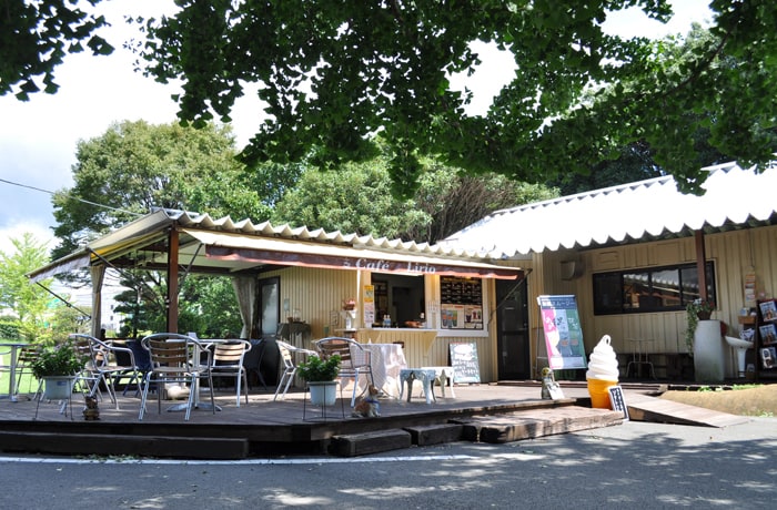 コンテナを利用した店内とウッドデッキのあるカフェ「Lirio」。