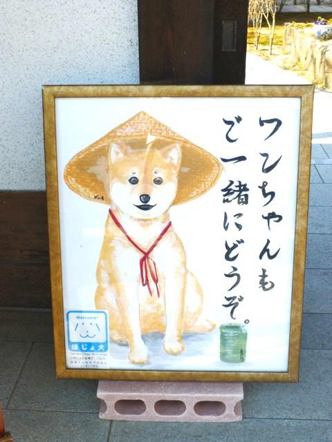 お店はわんこもウェルカム！