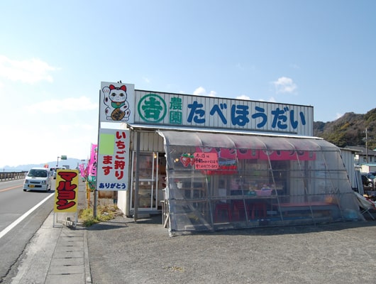 石垣いちごの美味しさを堪能しよう！