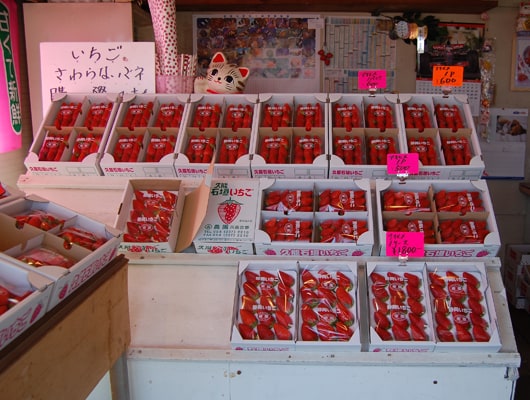 お土産用のいちごもあります。