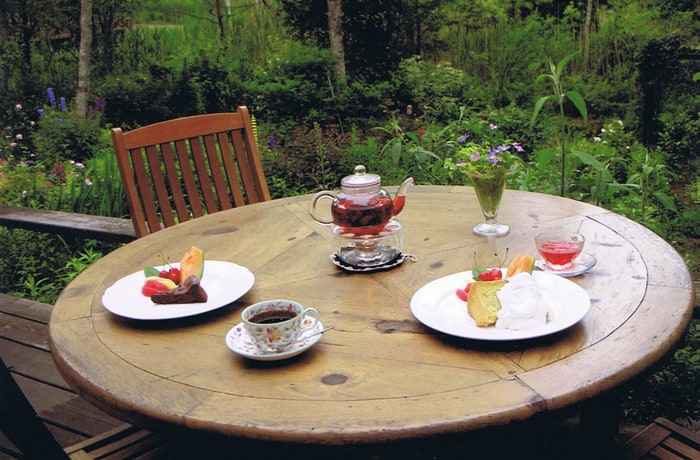 手作りのケーキとお茶のセット。テラス席でゆったり過ごすのもオススメ！