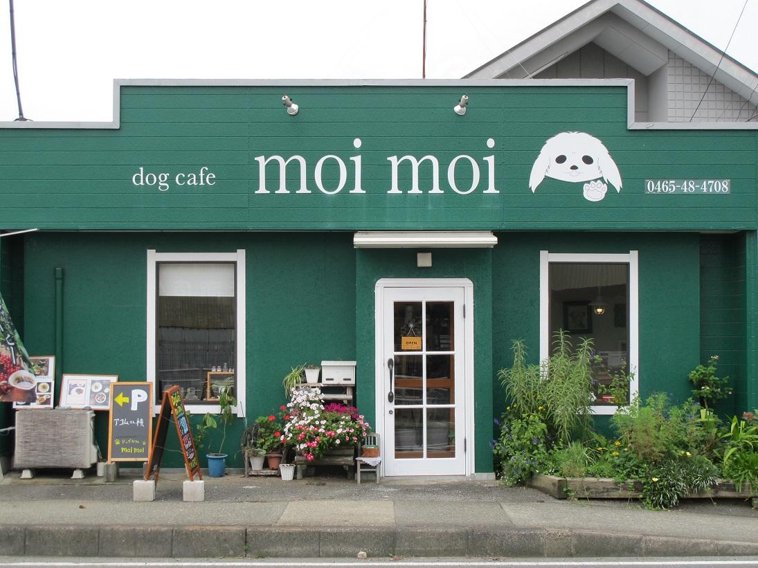 Dog Cafe Moi Moi 神奈川県 おでかけ情報 Honda Dog Honda