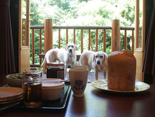 パン焼き機で、自家製パンを作ってはいかが？自然の中でいただく食事は格別ですよ！（パン焼き機は「MO・LURAN」のみ）