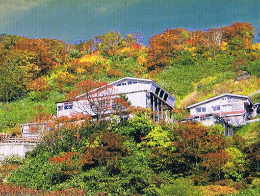 昔ながらの湯治場で、温泉の効能をわんこと一緒に体感しよう！