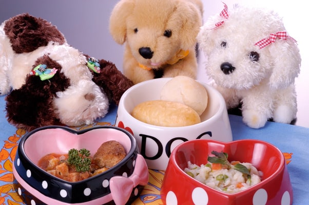 人間と同じ食材を使った、わんこ用ディナー。食の細いわんこにも、大好評！