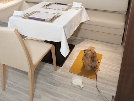 もちろん愛犬もレストラン内でご一緒に！