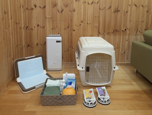 客室のわんこ用アメニティも充実していますよ！