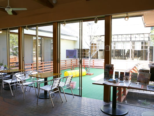 スタッフが常駐するドッグコミュニティハウス。無料のイベントを毎日開催。