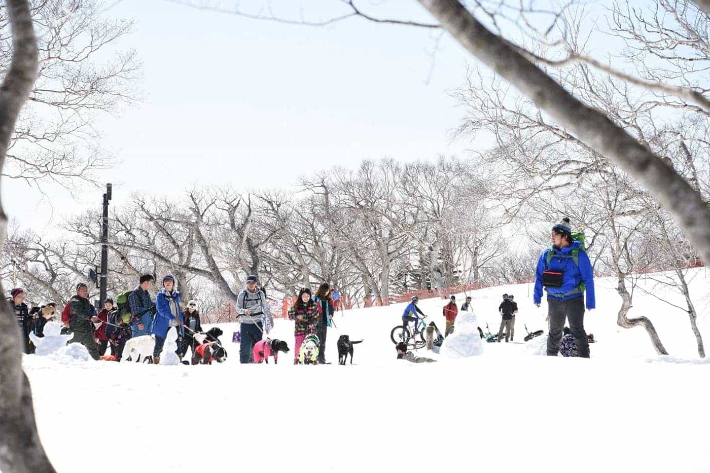 愛犬と一緒に、雪の中を進みます。