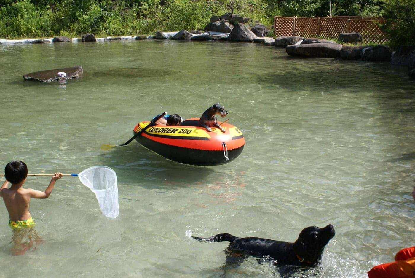 大きな「じゃぶんこ池」でわんこと水遊び。毎年夏になると大勢の人で賑わいます
