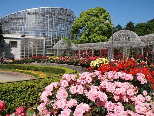 わんこと一緒に一年中花と緑が楽しめる植物公園