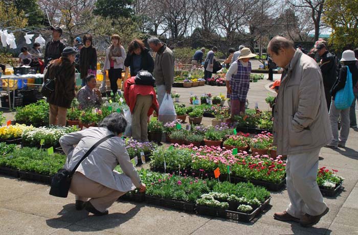 毎週日曜日は「朝市」として、地元生産農家さんによる季節の草花や新鮮な野菜の即売会が開催されていますよ。