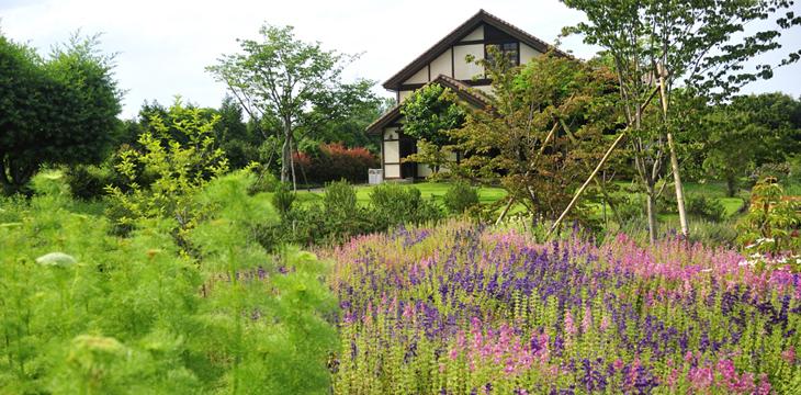 別府湾を眺めながら、のんびりとお散歩できるハーブ園