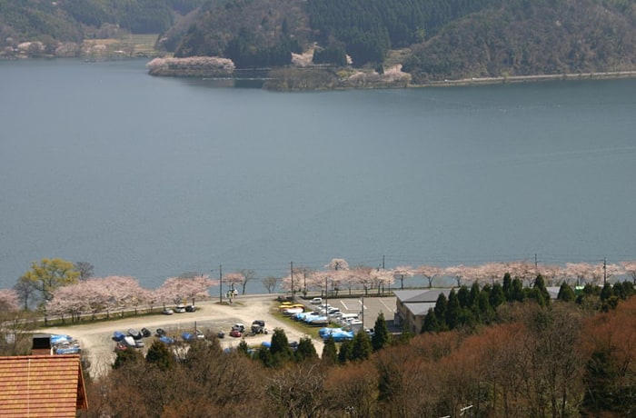 キャンプ場の高台からは、琵琶湖を一望できます。