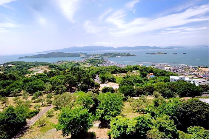 オリーブは四季を通して緑を絶やすことはなく、いつでもこの絶景を楽しめます。