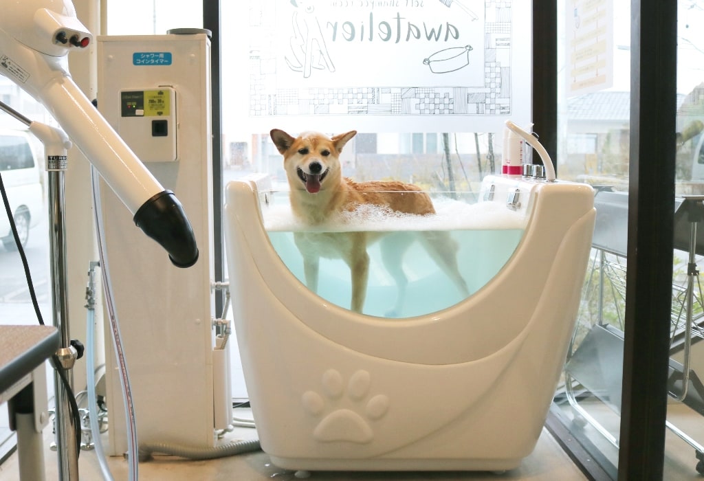 ジャグジー/マイクロバブルもついています。 大型犬まで楽々洗える大型浴槽もあります。