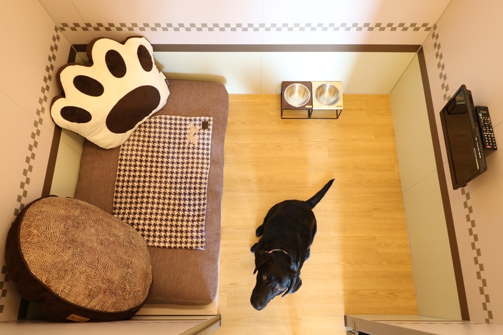 当店で一番広く、贅沢な仕様。大型犬2頭でもゆったりしています。