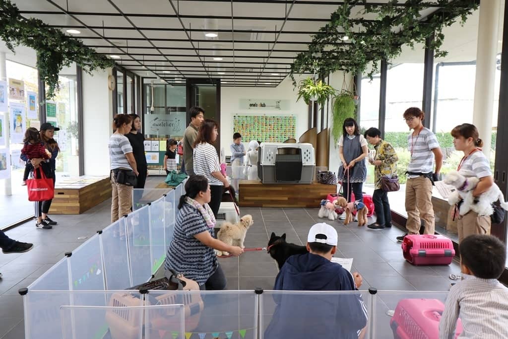 毎週定期開催。子犬を対象としたお勉強会。