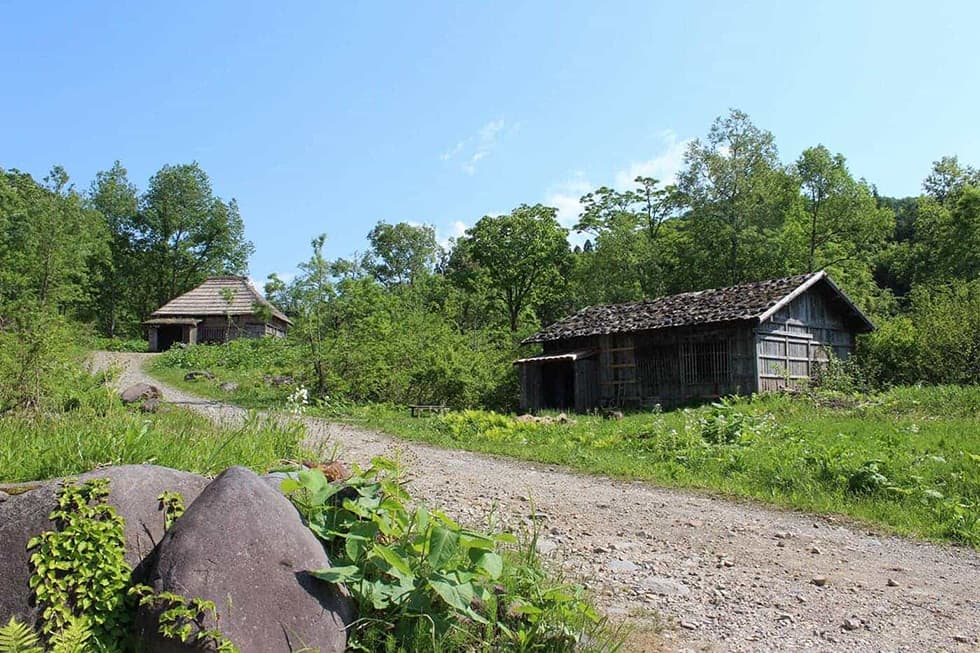 周囲の自然に溶け込む「山間集落」のセットには、園内で一番高い場所に建っている「てっぺんの家」がありますよ。