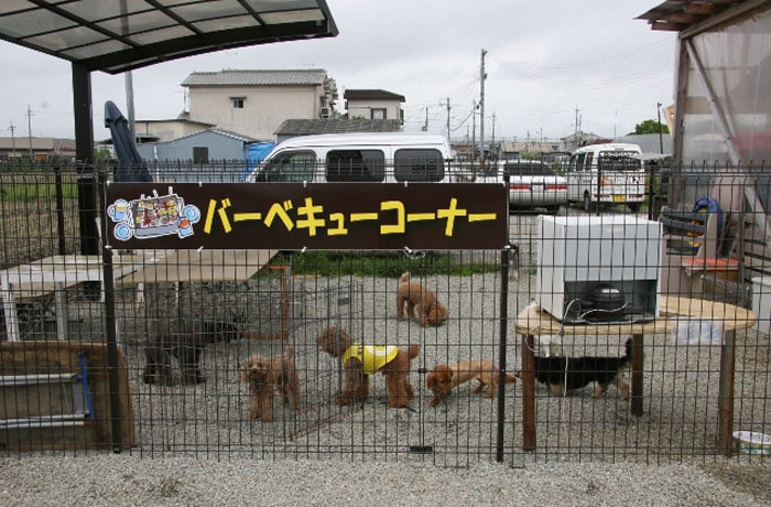 こちらでわんことバーベキューを楽しむことができますよ！