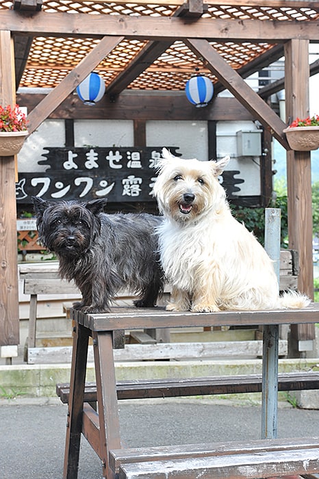 好きなだけ温泉を楽しんだ後は高原のそよ風にあたってリラックス。