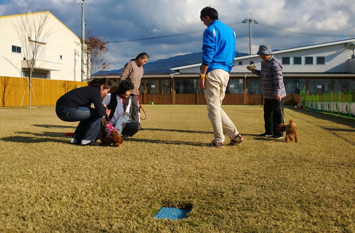 ぱるcafe Dogrun ドッグラン 愛媛県 おでかけ情報 Honda Dog Honda