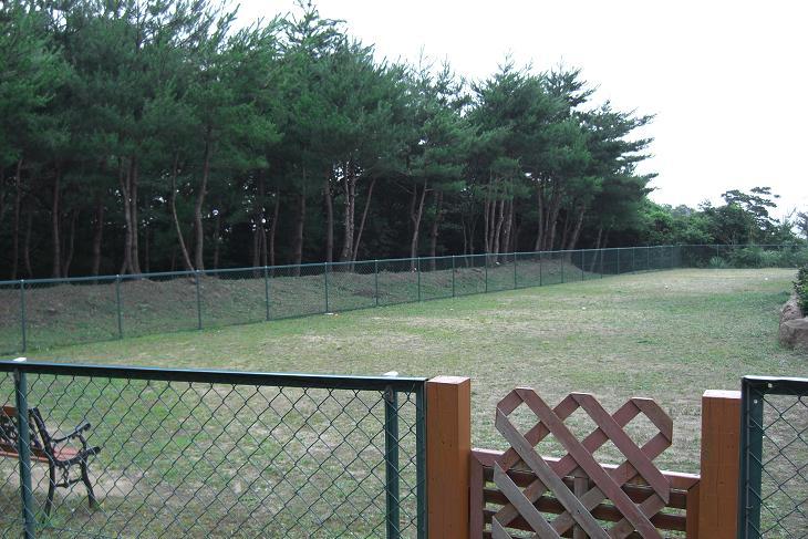 約400坪のドッグランは無料開放。水はけのよい芝生で気持ちいい！