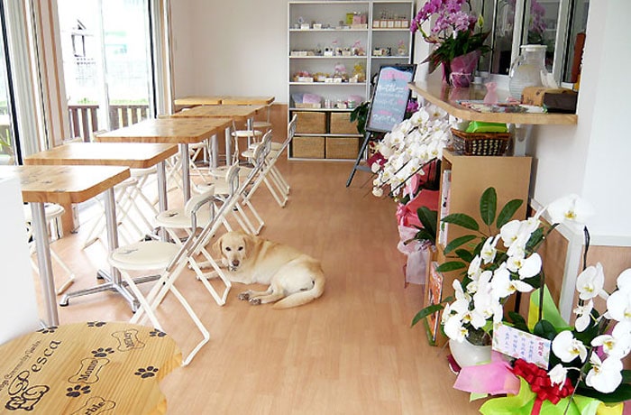 木の温もりを感じる店内。