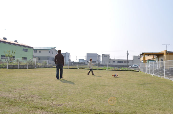 中・大型犬用ドッグラン。芝生の上を走り回ろう！