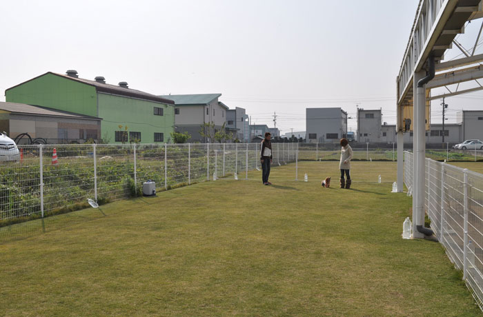 小型犬専用ドッグランもあります。