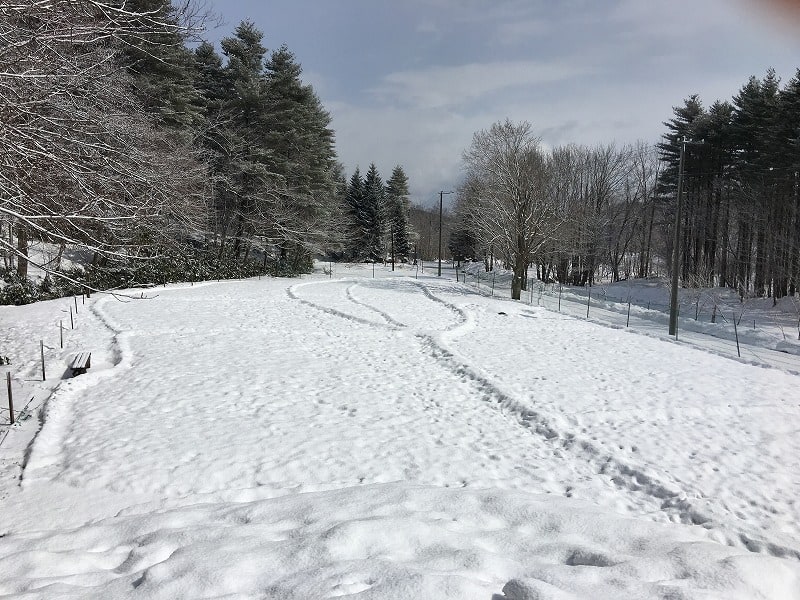 冬は、雪の中ではしゃごう！