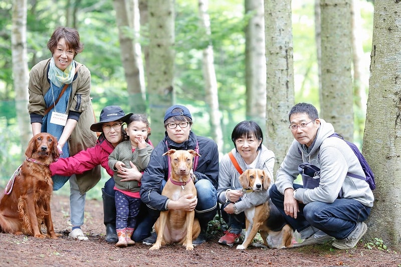 土地が広くたくさんの犬仲間と遊ぶことができます。