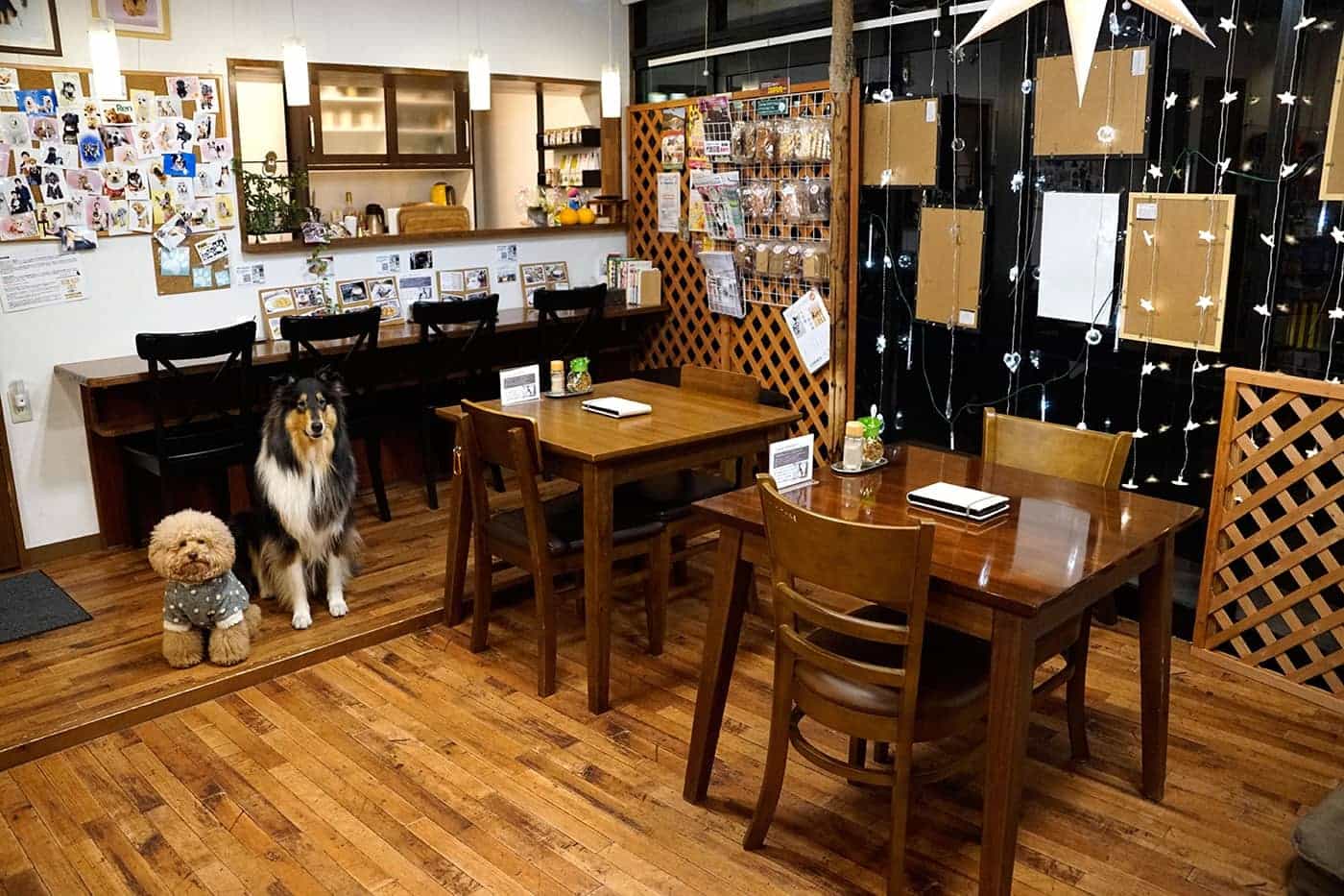 Pet S The World ペッツ ザ ワールド 福岡県 おでかけ情報 Honda Dog Honda