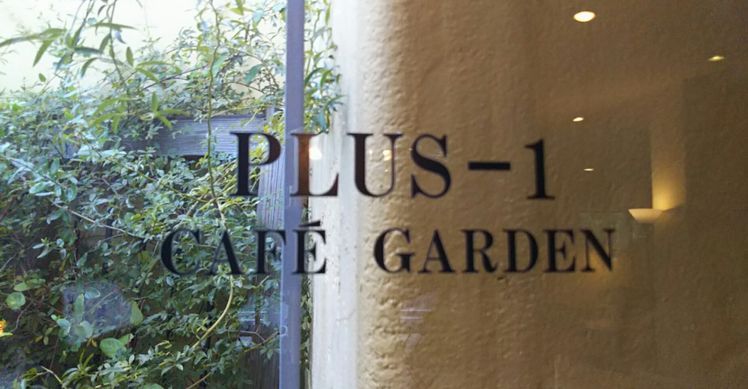店内から見えるテラスのオリーブの木もすくすく育っています。