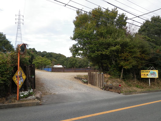 自然あふれるドッグランで、わんこも飼い主さんもリフレッシュ！