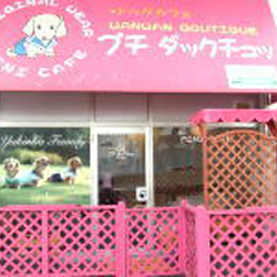 プチ ダックチュッ カフェ 岐阜県 おでかけ情報 Honda Dog Honda