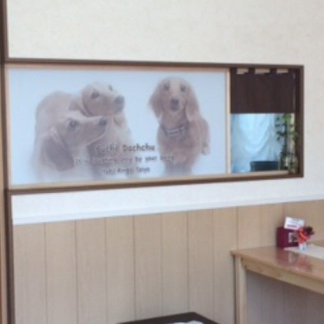 プチ ダックチュッ カフェ 岐阜県 おでかけ情報 Honda Dog Honda