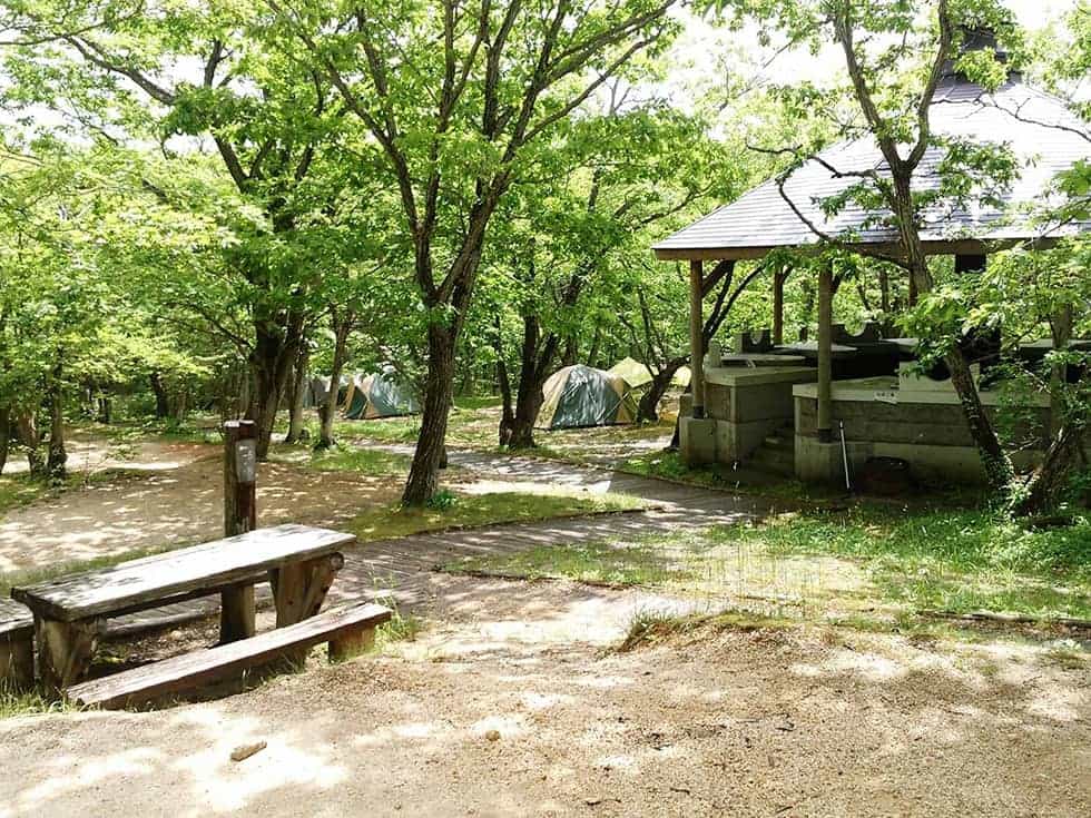 那須高原の緑豊かなキャンプ場。レジャーや自然散策を満喫しよう！