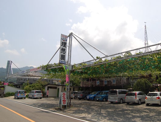 山梨のおいしい空気の中で、モモ狩りやブドウ狩りを楽しもう！