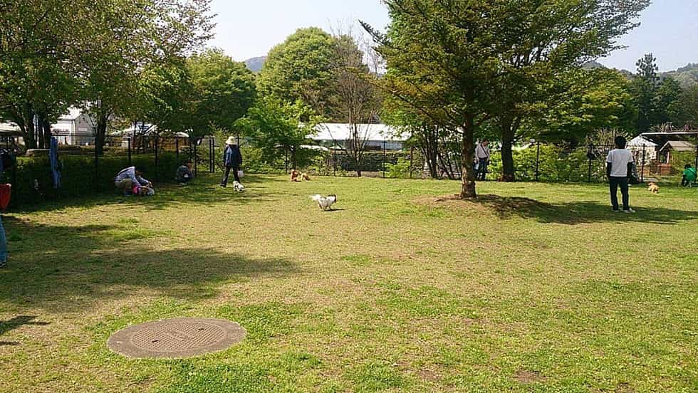  牧歌的な景色が広がる道の駅のドッグラン