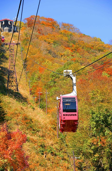 ぐんぐん上昇するロープウェイから、彩られた山の木々が楽しめます。