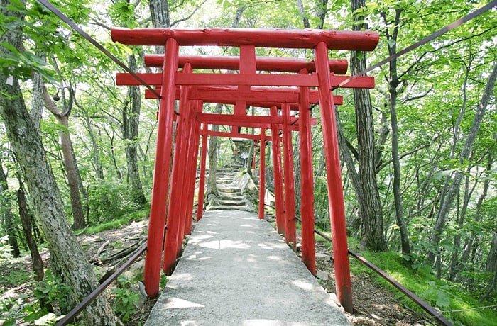 鳥居をくぐった先に温泉神社が。諸願成就の神様としても有名。