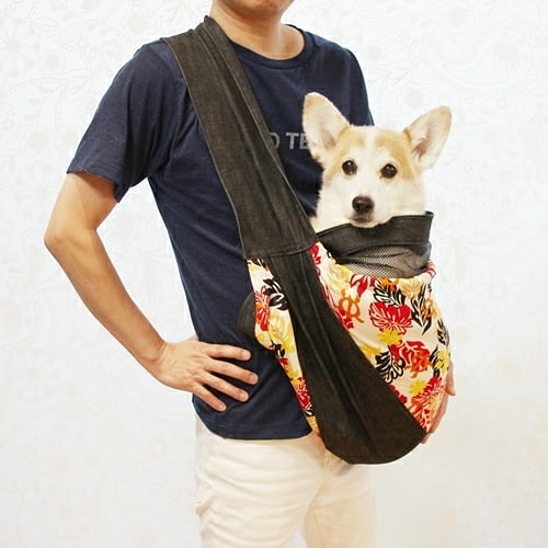 看板犬のジュリアちゃん。皆様のお越しをお待ちしております。