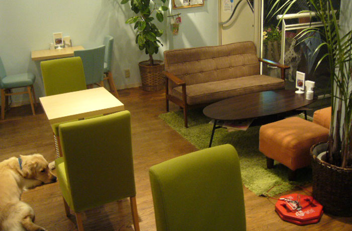 大きなわんこも、床に寝そべってリラックス