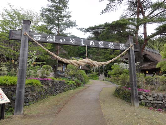 21世紀に蘇った日本の農村風景をわんこと歩こう！