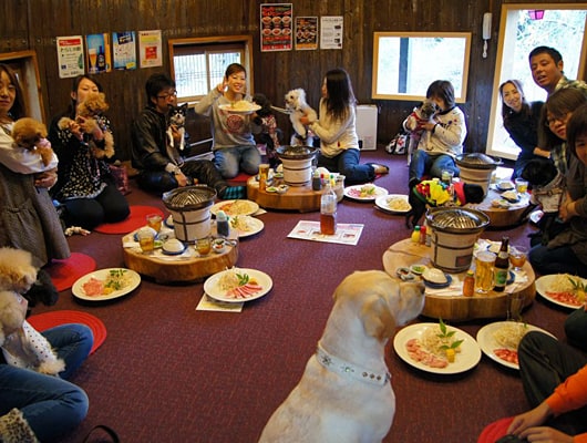 新鮮なお肉を召し上がれ！美しい庭園が自慢の、炭火鉄板焼きの店