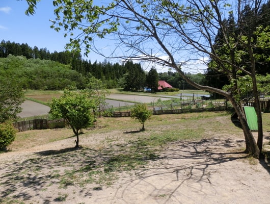 のどかな里山景色を眺めているだけで癒やされます。