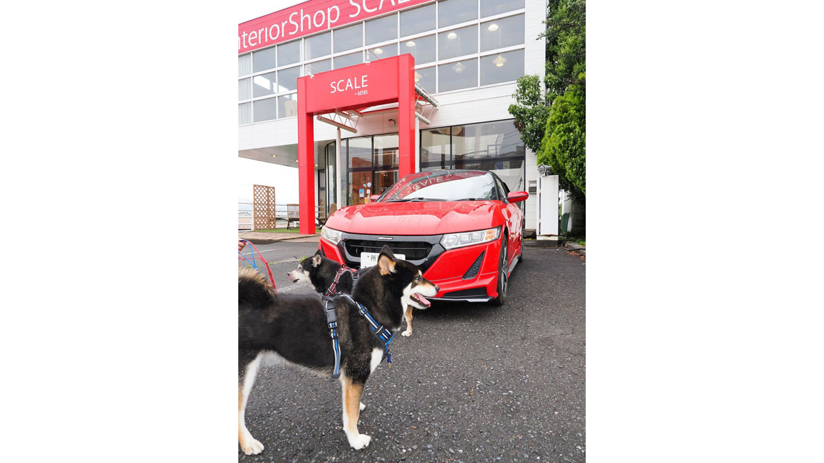 赤い看板が目印です!