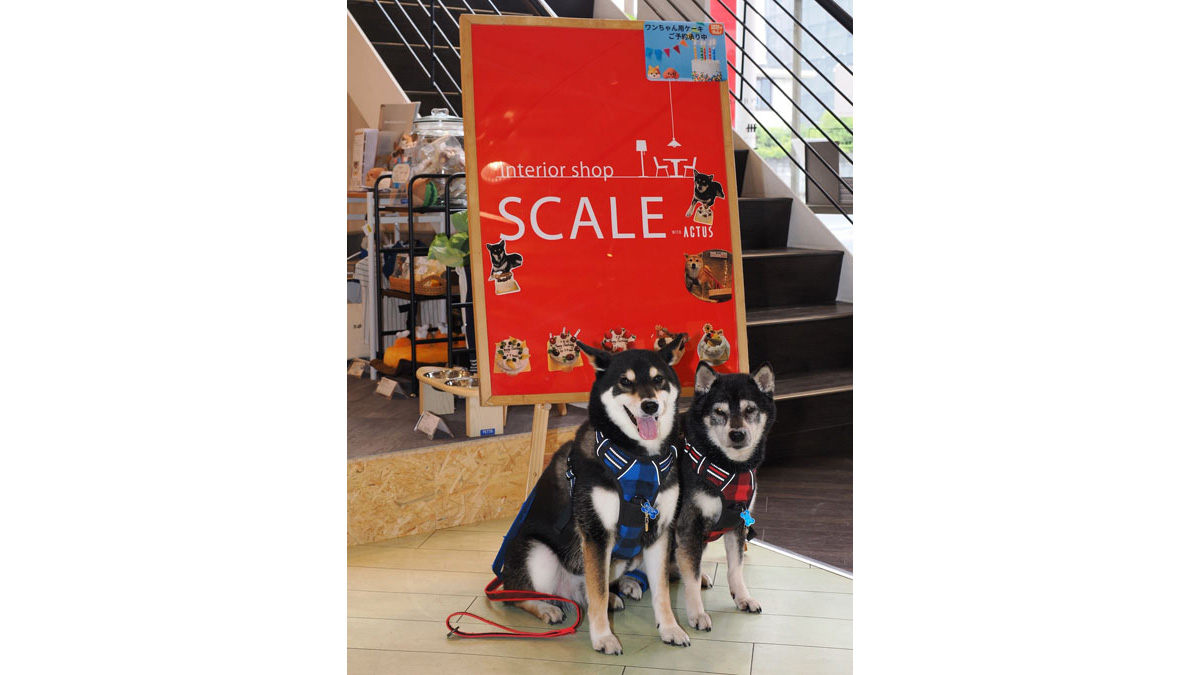 みなさまのご来店お待ちしております♪